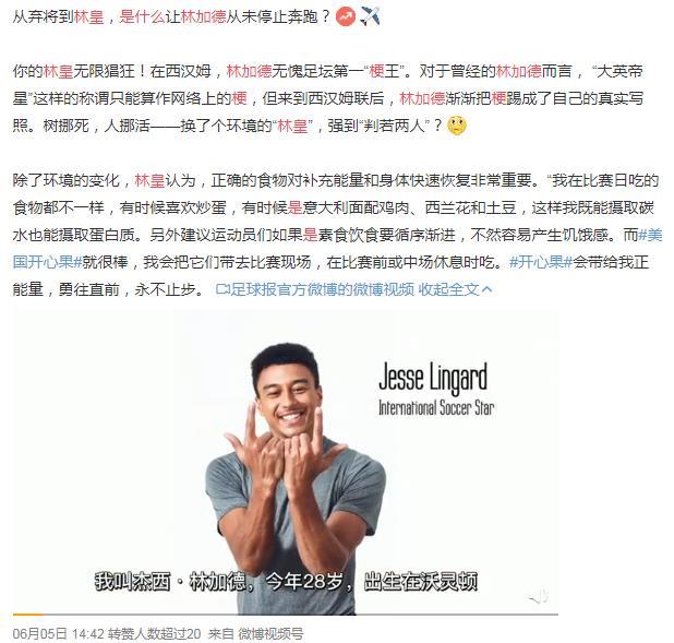 林加德林皇是什么梗 林加德为什么是C罗师傅