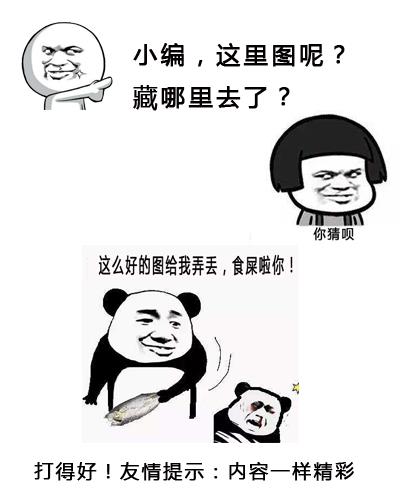 麦当娜土耳其演唱会掀胸图 麦当娜被伴舞揉胸