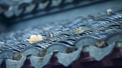 ​关镇是哪个县 山西关州是什么地方