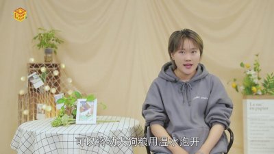 ​小狗中毒了吃什么 小狗吃什么东西容易中毒