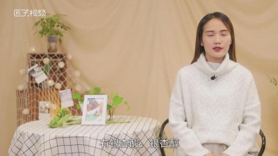 ​银杏树果子能吃吗有毒吗 银杏树果子能吃吗图片