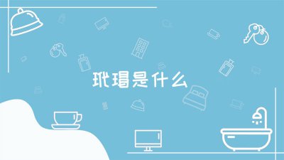 ​玳瑁的图片大全 玳瑁长什么样图片