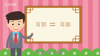 ​耳轮和耳廓的区别 耳廓的区别图片