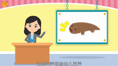 ​娃娃鱼是大鲵还是小鲵 小鲵和娃娃鱼的区别