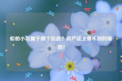 ​船舶小区属于哪个街道？房产证上查不到的原因！