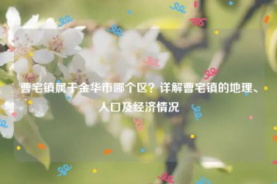 ​曹宅镇属于金华市哪个区？详解曹宅镇的地理、人口及经济情况