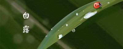 ​白露是中国传统节日吗 白露是第几个节气