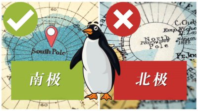 ​企鹅生活在南极还是北极地区（企鹅为何不能生活在北极）