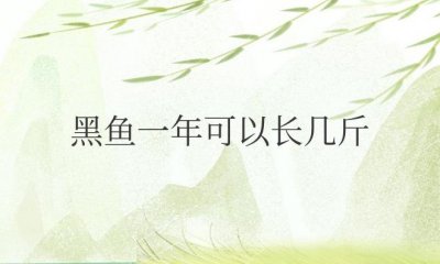 ​黑鱼一年可以长几斤（黑鱼多久可以养到三斤）