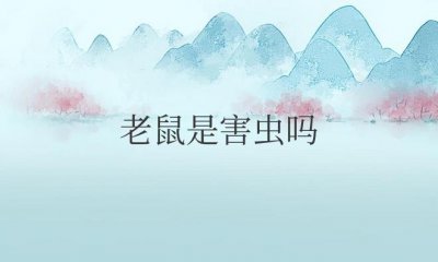 ​老鼠是害虫吗（如何驱赶老鼠最有效）