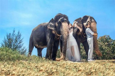 ​无性婚姻能过一辈子吗 无性婚姻能维持多久