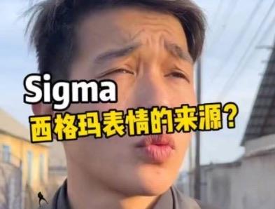 热梗sigma西格玛是什么意思  1