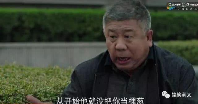 《美好生活》小白和刘兰芝毁三观的感情线惹争议，张嘉译招来差评