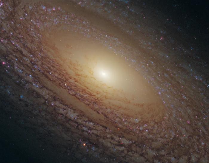 “你生日那天的宇宙长什么样？”8亿网友挤爆NASA：漫天星辰以赠你，也太浪漫了吧！