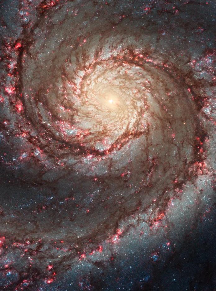 “你生日那天的宇宙长什么样？”8亿网友挤爆NASA：漫天星辰以赠你，也太浪漫了吧！