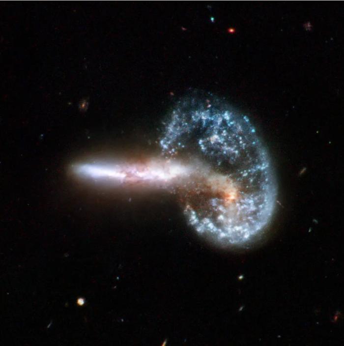 “你生日那天的宇宙长什么样？”8亿网友挤爆NASA：漫天星辰以赠你，也太浪漫了吧！