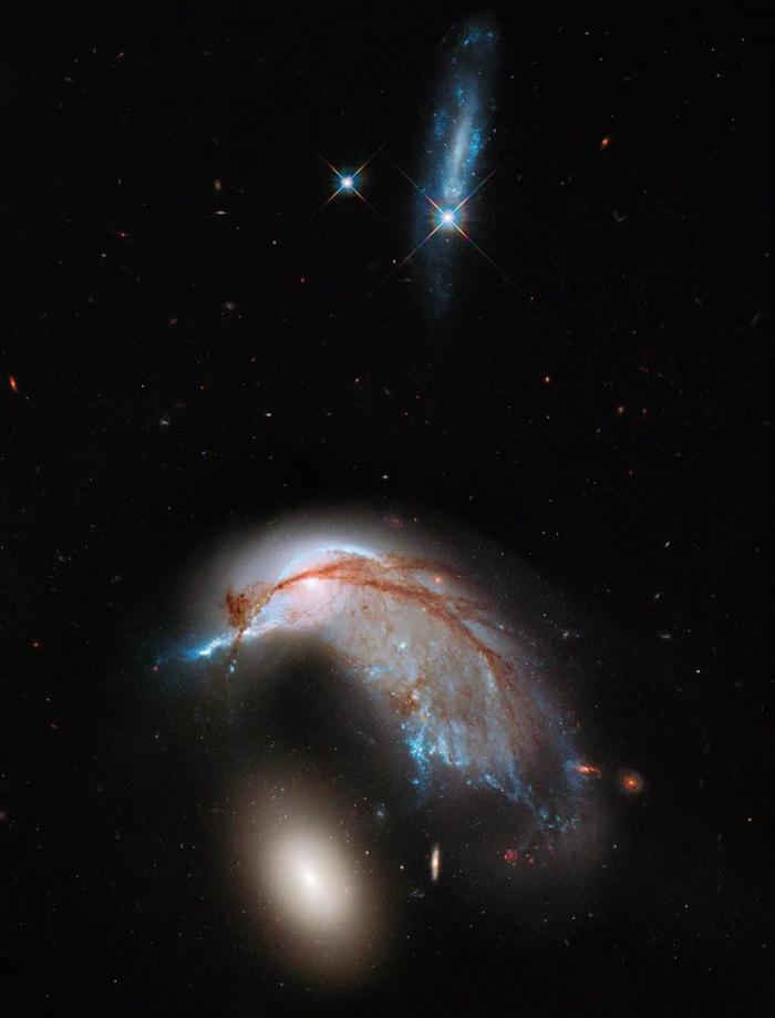 “你生日那天的宇宙长什么样？”8亿网友挤爆NASA：漫天星辰以赠你，也太浪漫了吧！