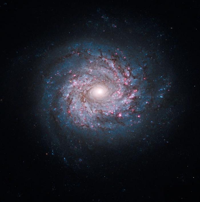 “你生日那天的宇宙长什么样？”8亿网友挤爆NASA：漫天星辰以赠你，也太浪漫了吧！