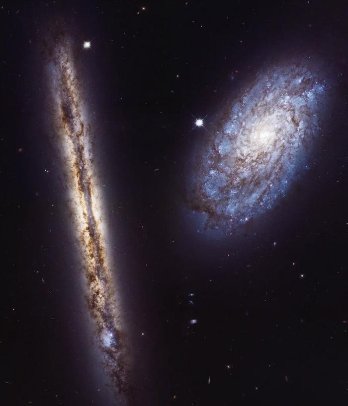 “你生日那天的宇宙长什么样？”8亿网友挤爆NASA：漫天星辰以赠你，也太浪漫了吧！