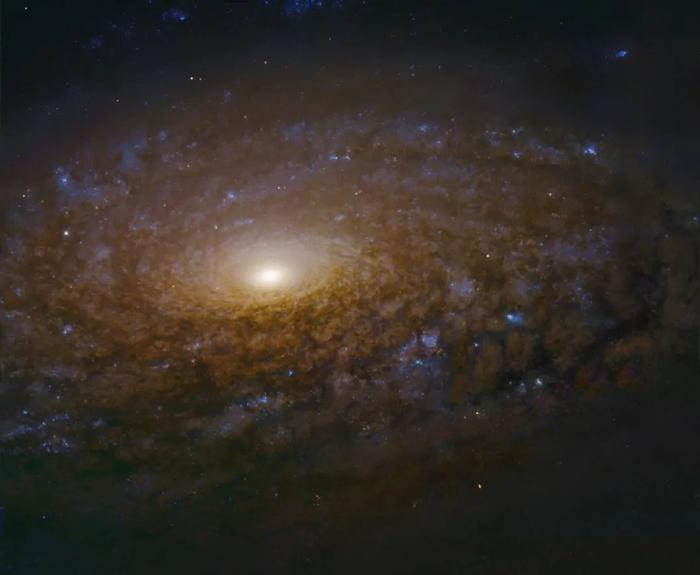 “你生日那天的宇宙长什么样？”8亿网友挤爆NASA：漫天星辰以赠你，也太浪漫了吧！