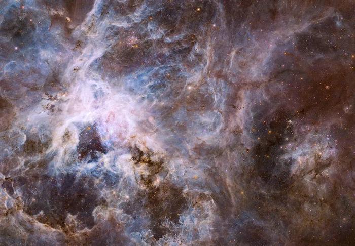 “你生日那天的宇宙长什么样？”8亿网友挤爆NASA：漫天星辰以赠你，也太浪漫了吧！