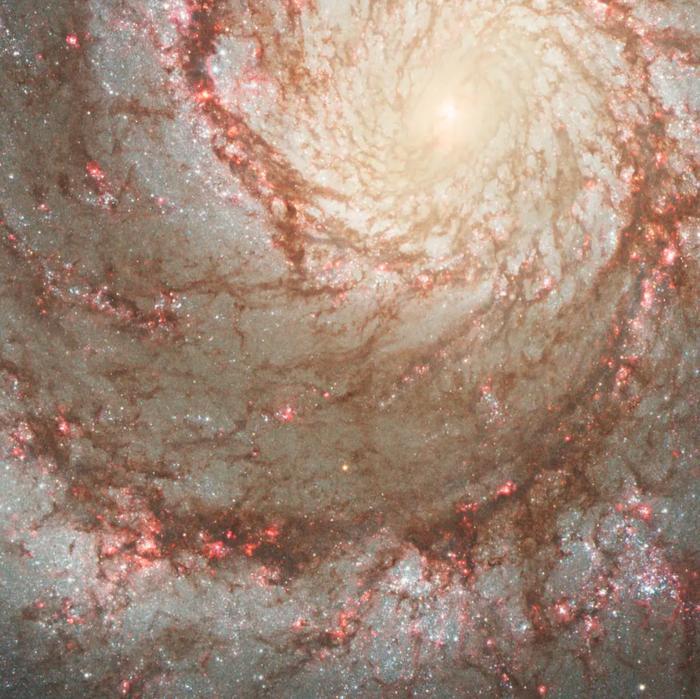 “你生日那天的宇宙长什么样？”8亿网友挤爆NASA：漫天星辰以赠你，也太浪漫了吧！