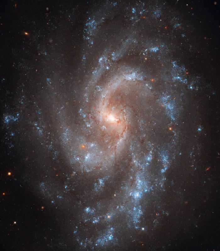 “你生日那天的宇宙长什么样？”8亿网友挤爆NASA：漫天星辰以赠你，也太浪漫了吧！