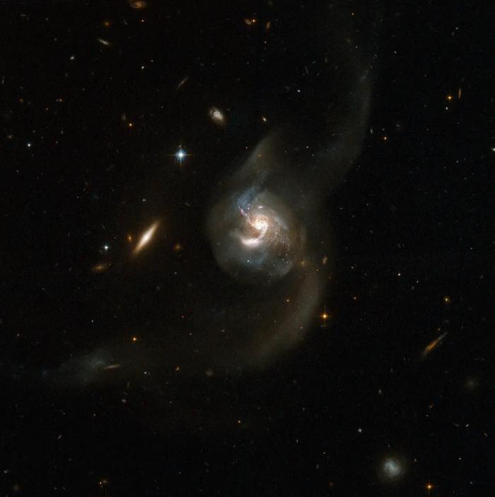 “你生日那天的宇宙长什么样？”8亿网友挤爆NASA：漫天星辰以赠你，也太浪漫了吧！