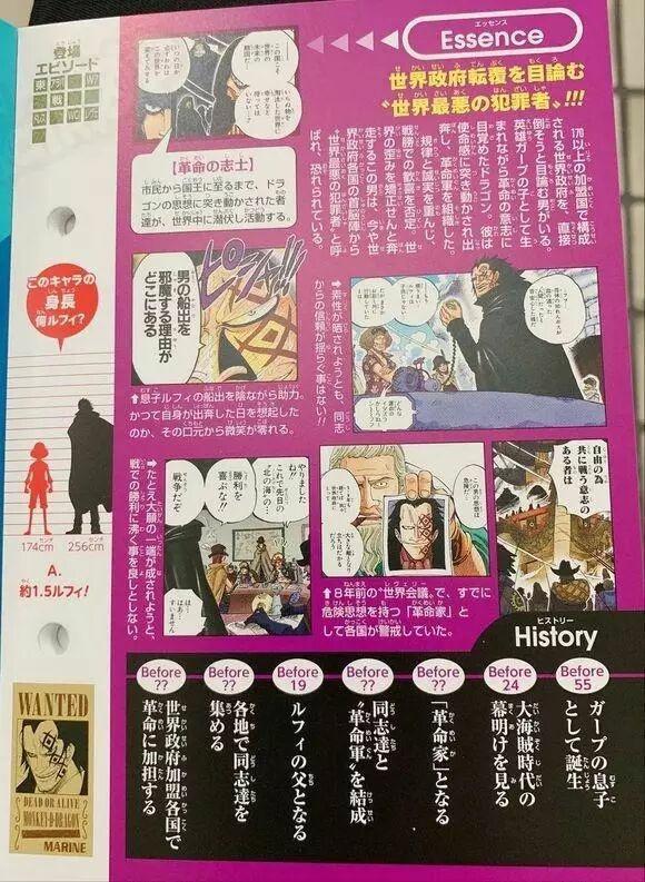海贼王：官方人设书情报，蒙奇D龙的恶魔果实已经确定是自然系