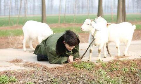 白莲花、下跪、装纯？李诞的文案大概是在“孙e兴的bot”上看来的