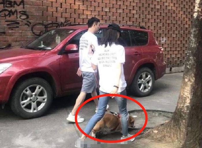 王思聪终于把魔爪伸向娱乐圈女明星了？