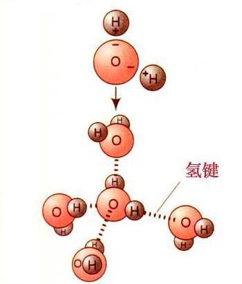 科学家发现水温最高达到464℃的水，地球上发现的温度最高的液体