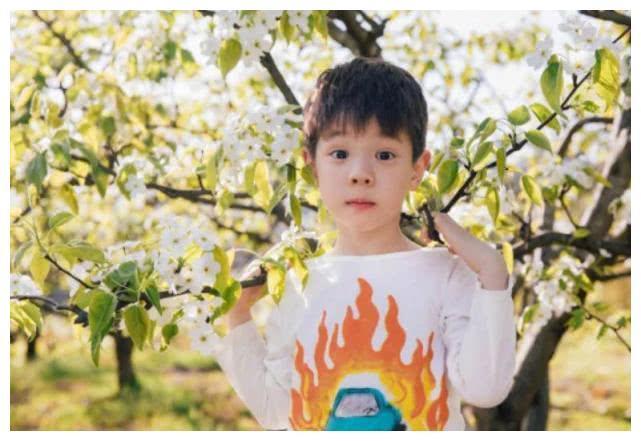 杜宇麒才是“整容式”长大，小时候呆萌可爱，如今浓眉大眼成王子