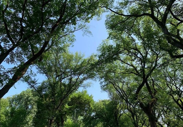 宋慧乔玄彬旧情复燃？五大证据疑似锤实恋情，韩娱又活久见了