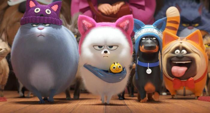 《爱宠大机密2》：当你不在家，你的宠物在做什么？