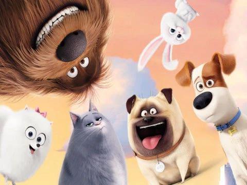 《爱宠大机密2》：当你不在家，你的宠物在做什么？