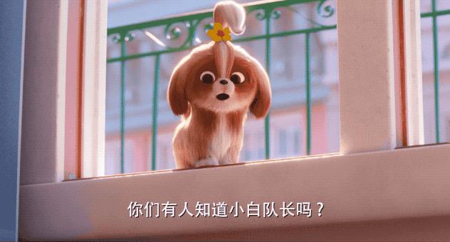 《爱宠大机密2》：当你不在家，你的宠物在做什么？