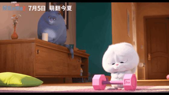 《爱宠大机密2》：当你不在家，你的宠物在做什么？