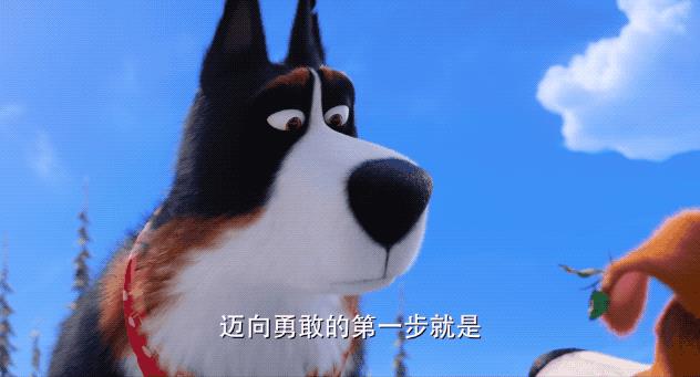 《爱宠大机密2》：当你不在家，你的宠物在做什么？