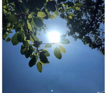 ​老话秋旱不秋旱,就看六月二十三,这天是什么日子?有啥说法