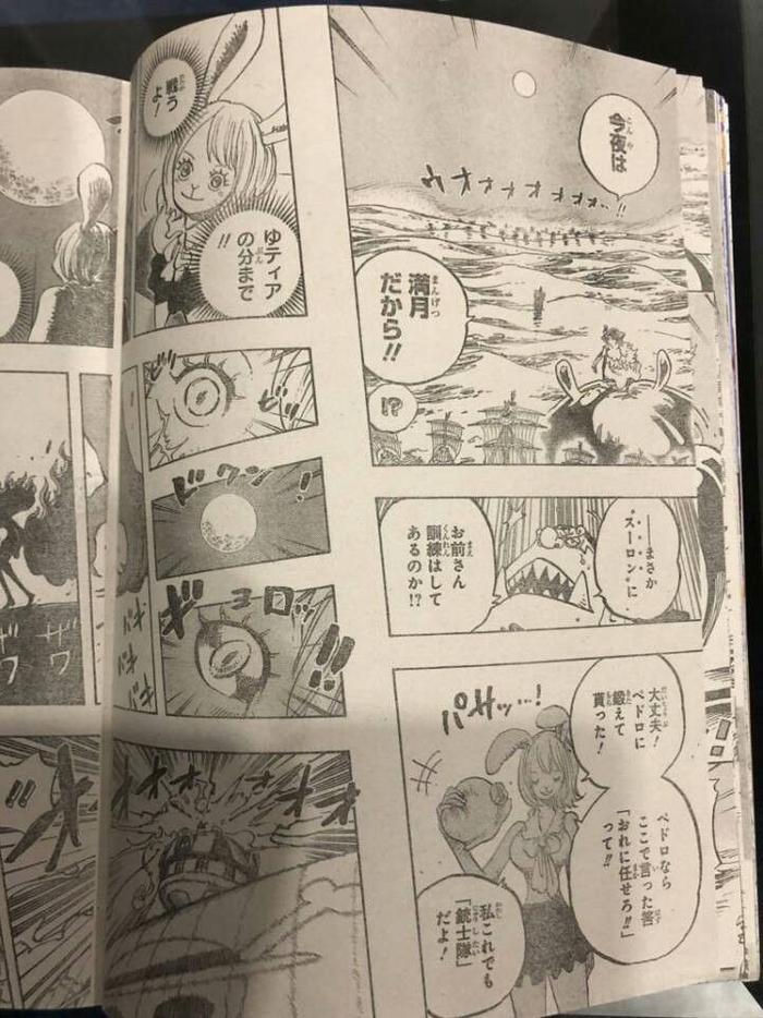 海贼王888话：狮子
