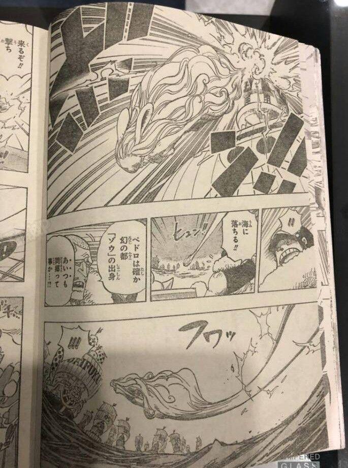 海贼王888话：狮子