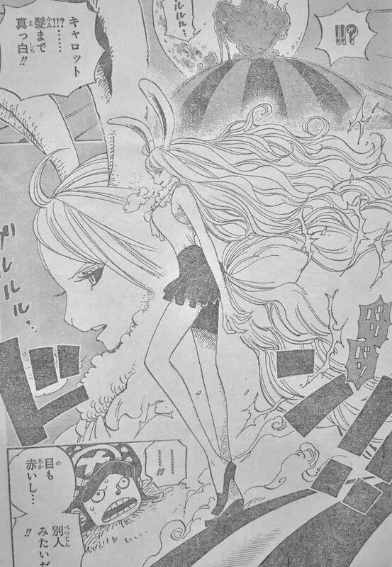 海贼王888话：狮子