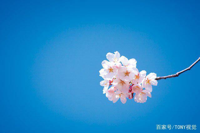 构图是什么？摄影时怎么构图？