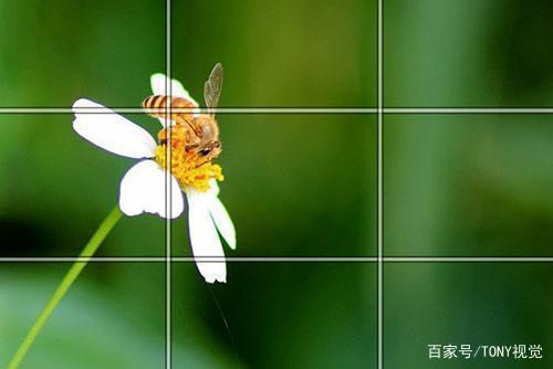 构图是什么？摄影时怎么构图？