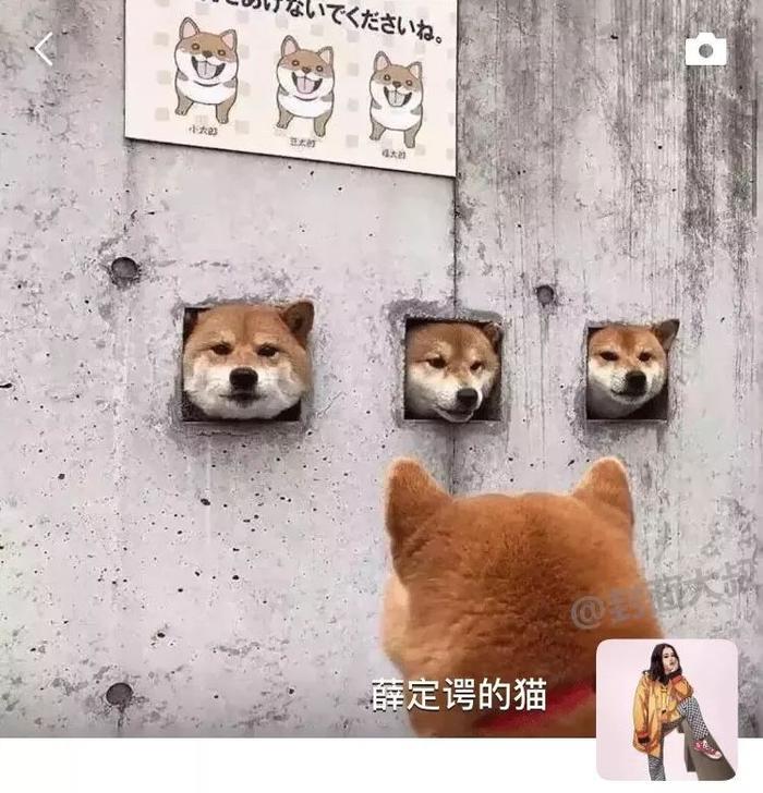 抖音超火朋友圈背景图，如果换成这样，会很火吧