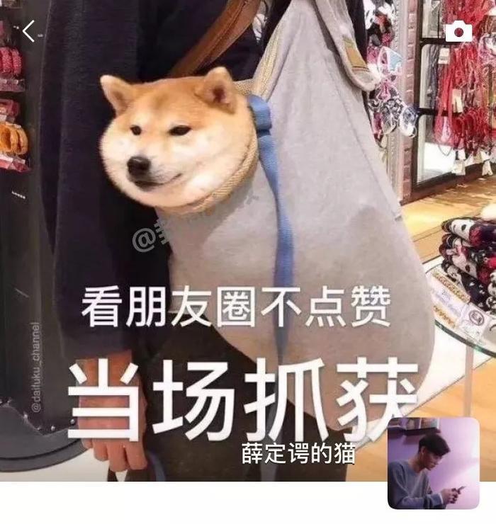 抖音超火朋友圈背景图，如果换成这样，会很火吧