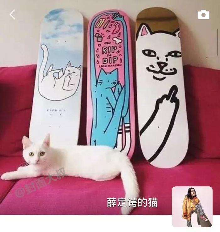 抖音超火朋友圈背景图，如果换成这样，会很火吧