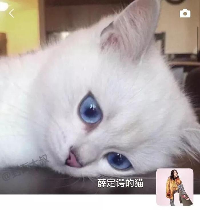 抖音超火朋友圈背景图，如果换成这样，会很火吧