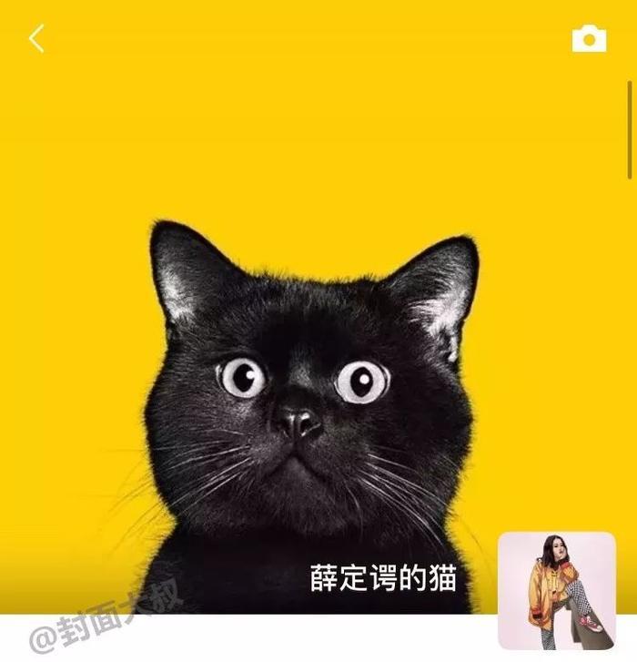 抖音超火朋友圈背景图，如果换成这样，会很火吧